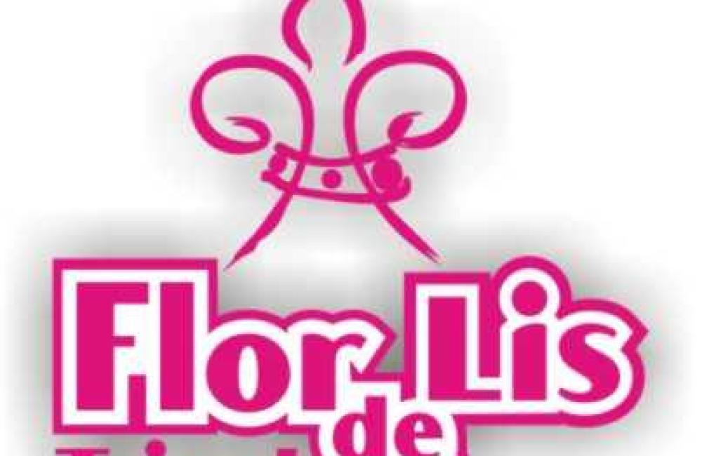 Flor de lis Tricot